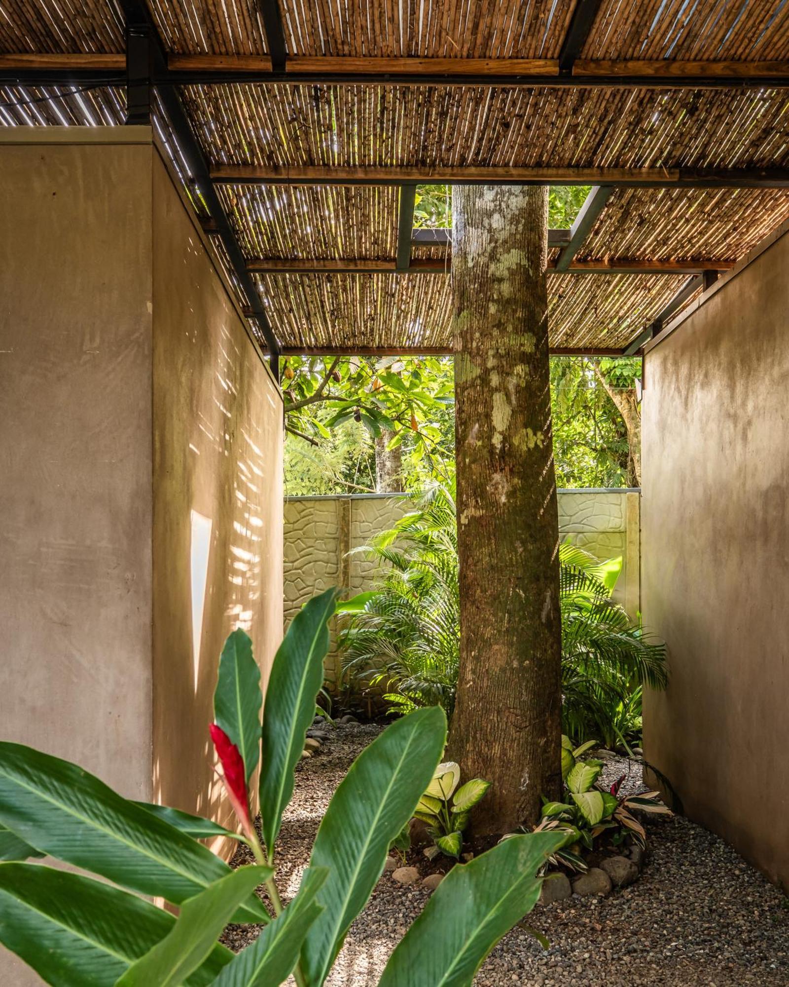 La Bonita Lodge Puerto Viejo de Talamanca Экстерьер фото