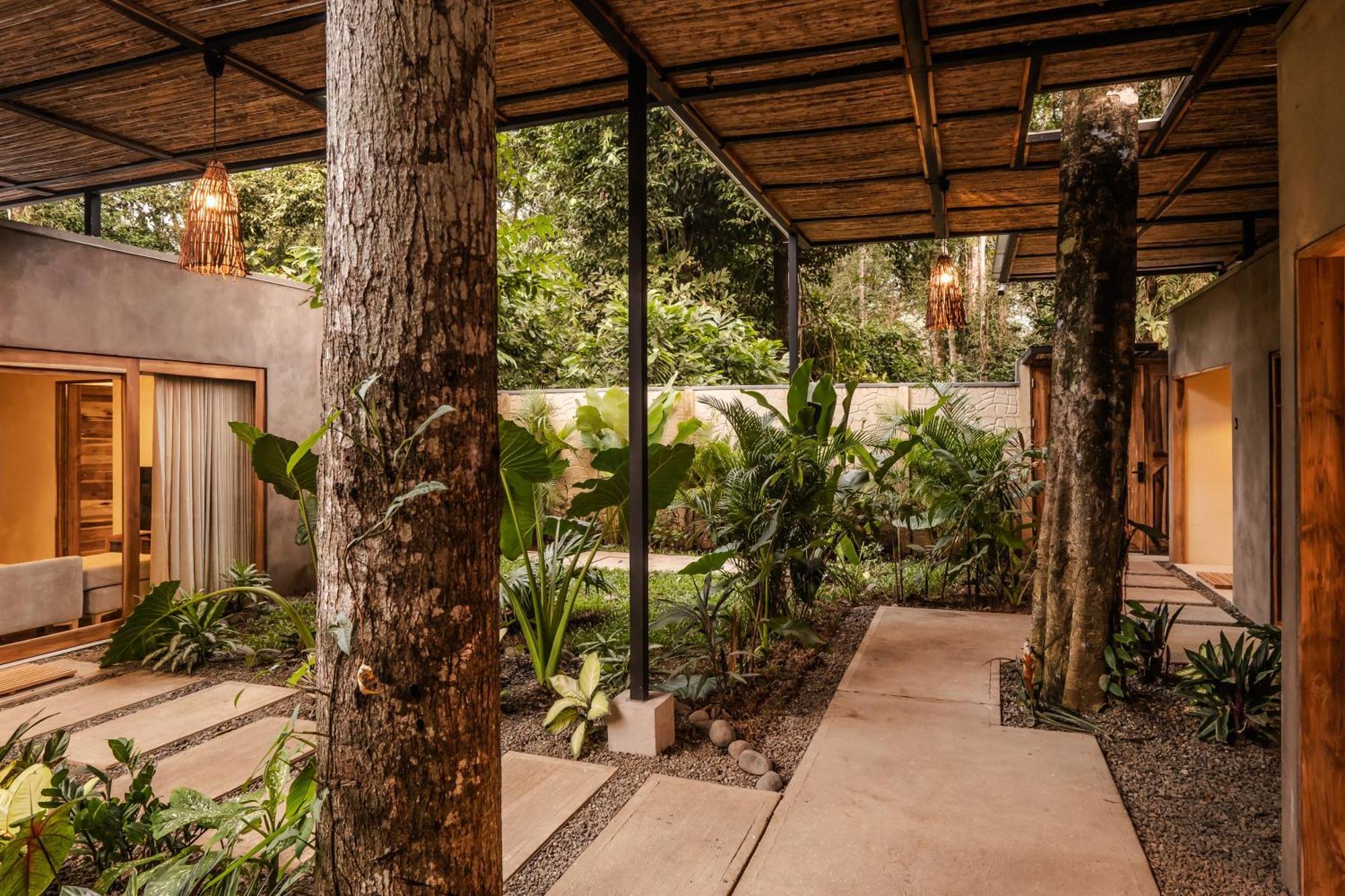 La Bonita Lodge Puerto Viejo de Talamanca Экстерьер фото